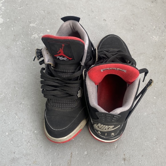 2019 bred 4 Just need cleaned - Picture 5 of 5